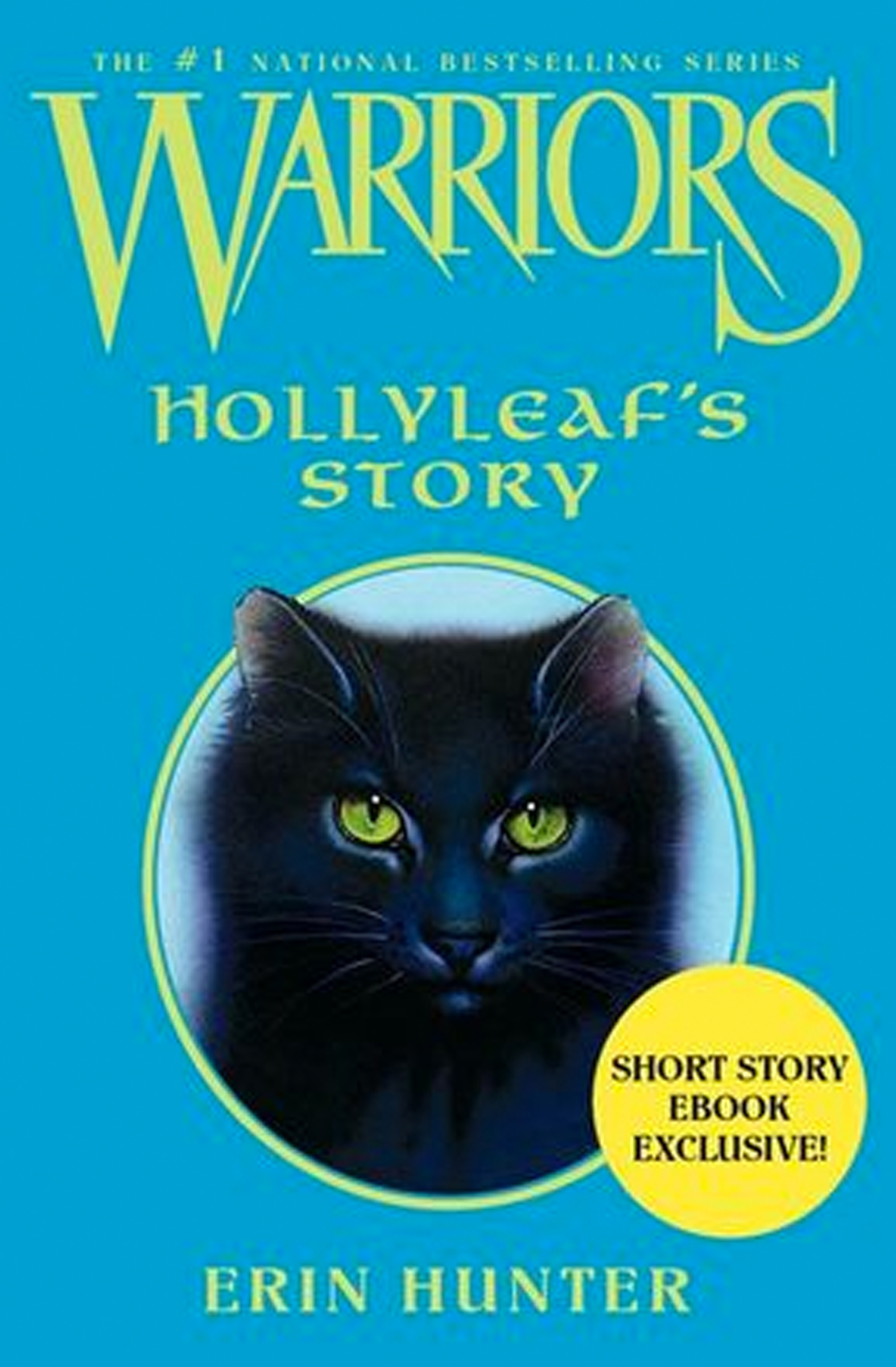 Hollyleaf’s Story