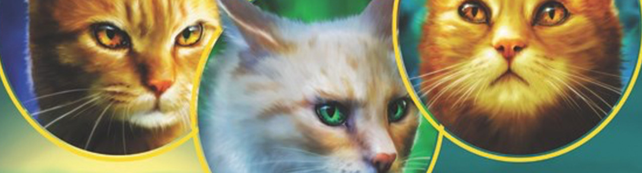 A Warrior’s Spirit