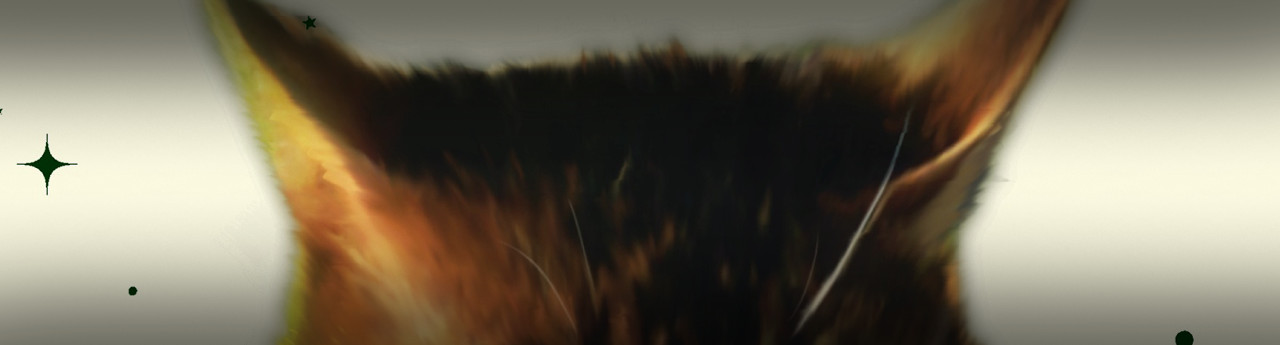 Tigerheart’s Shadow