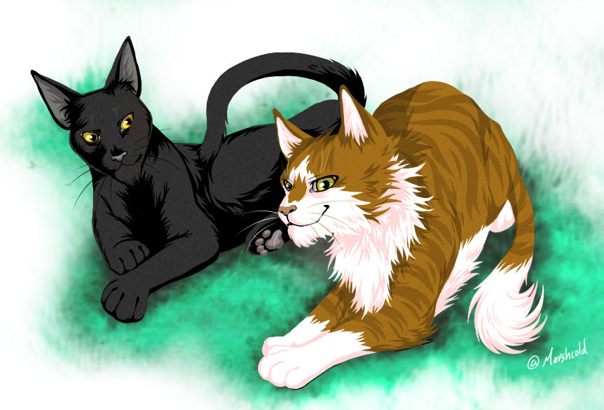 Nightheart and Sunbeam: our favorite moments