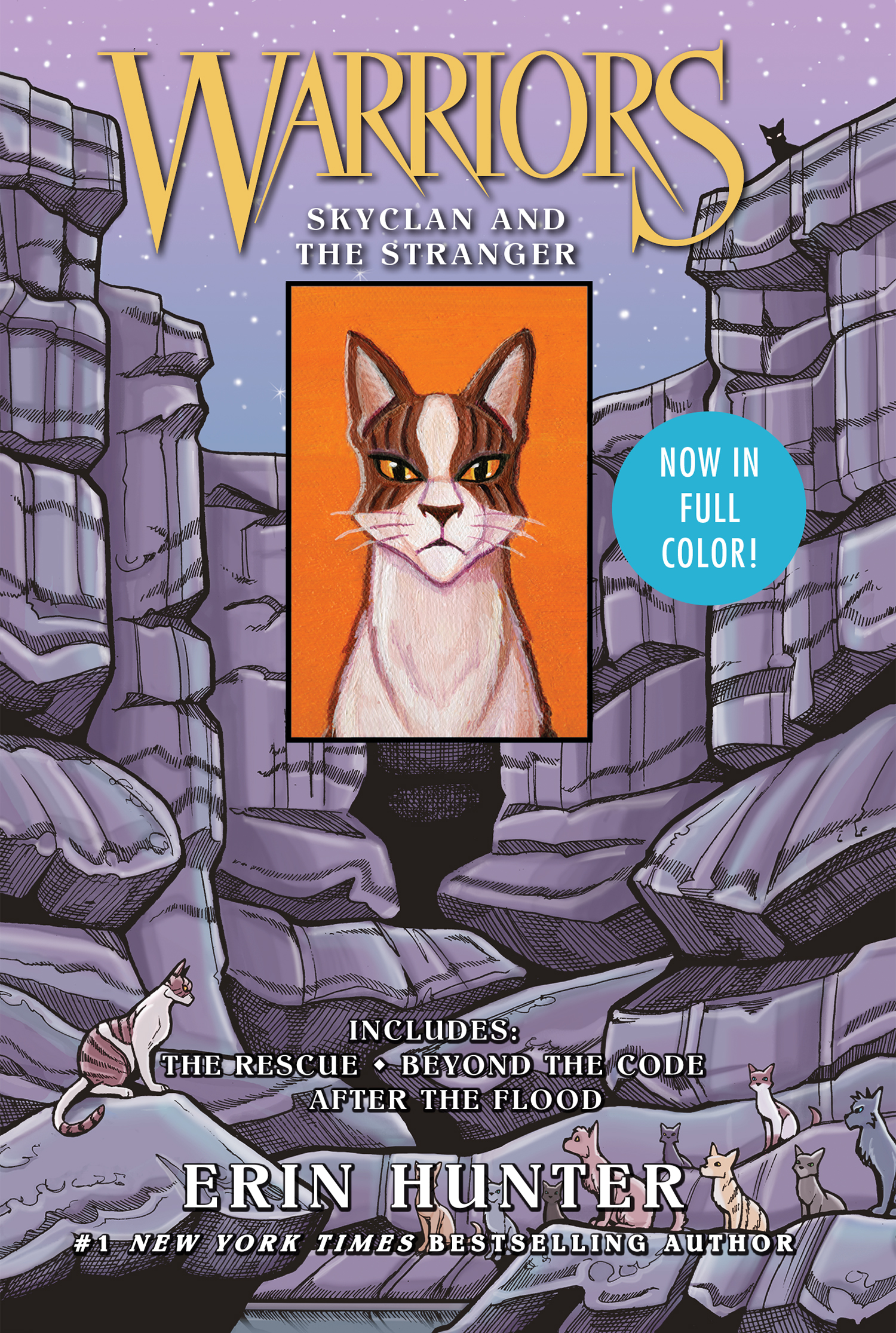 Warriors: SkyClan and the Stranger