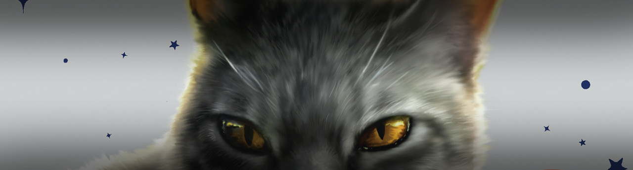 Hawkwing’s Journey