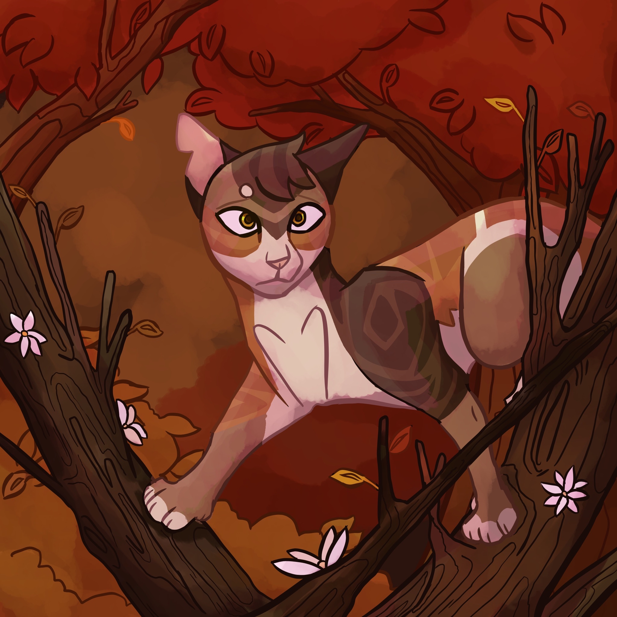 Leafstar’s best moments