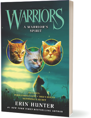 A Warrior’s Spirit