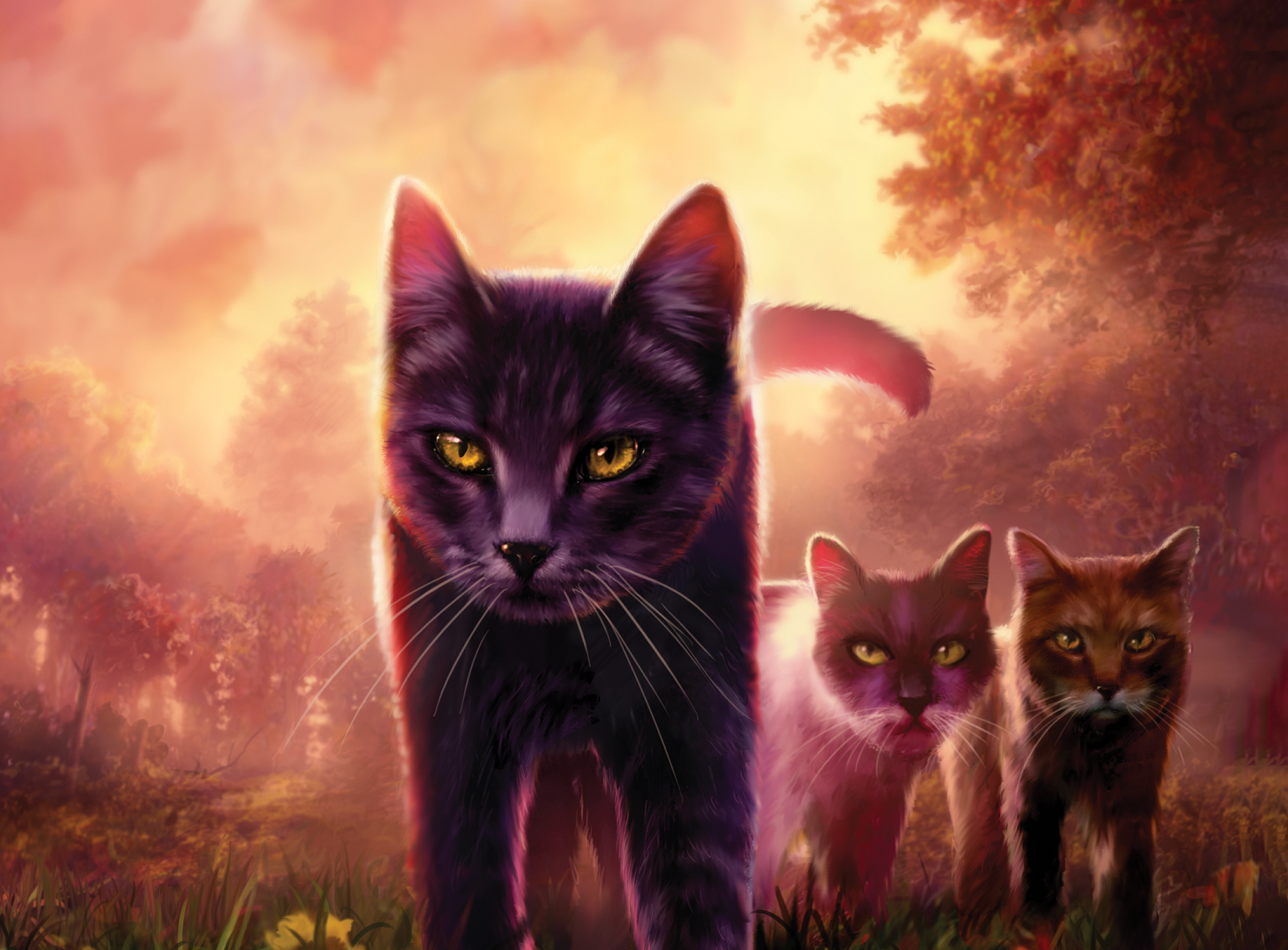 Who are the cats on A Starless Clan book covers?