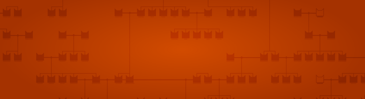 The origins of the Clans: World-building in Warrior Cats