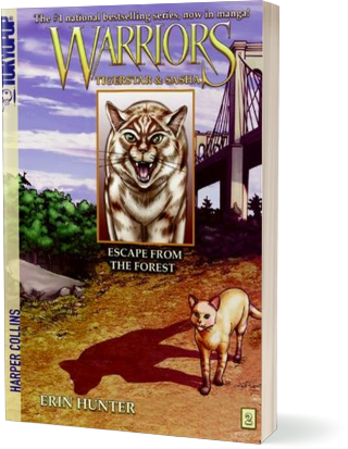 Escape from the Forest