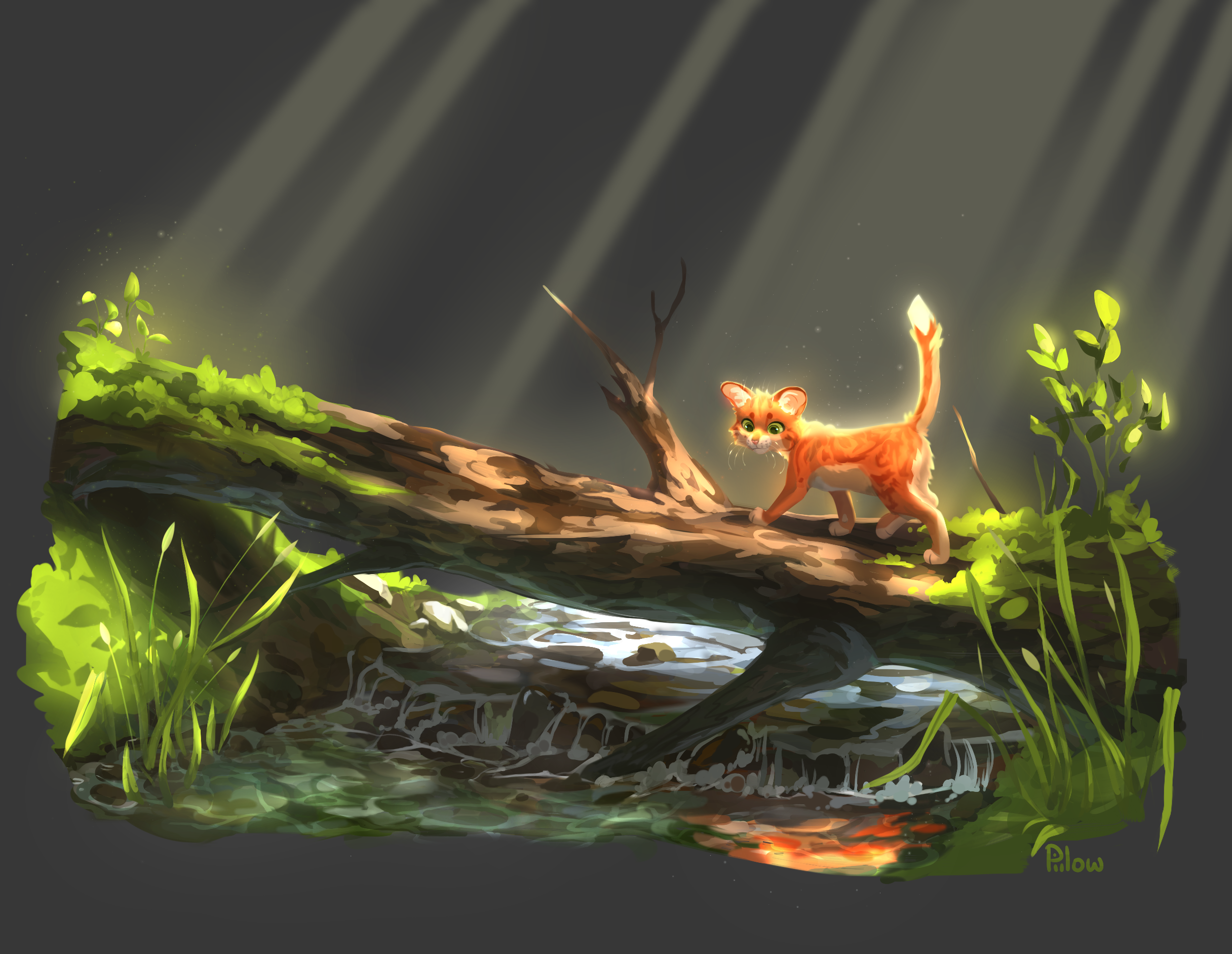 Where it began – for me