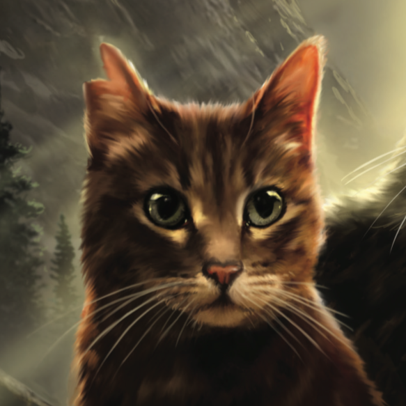 Brook Where Small Fish Swim