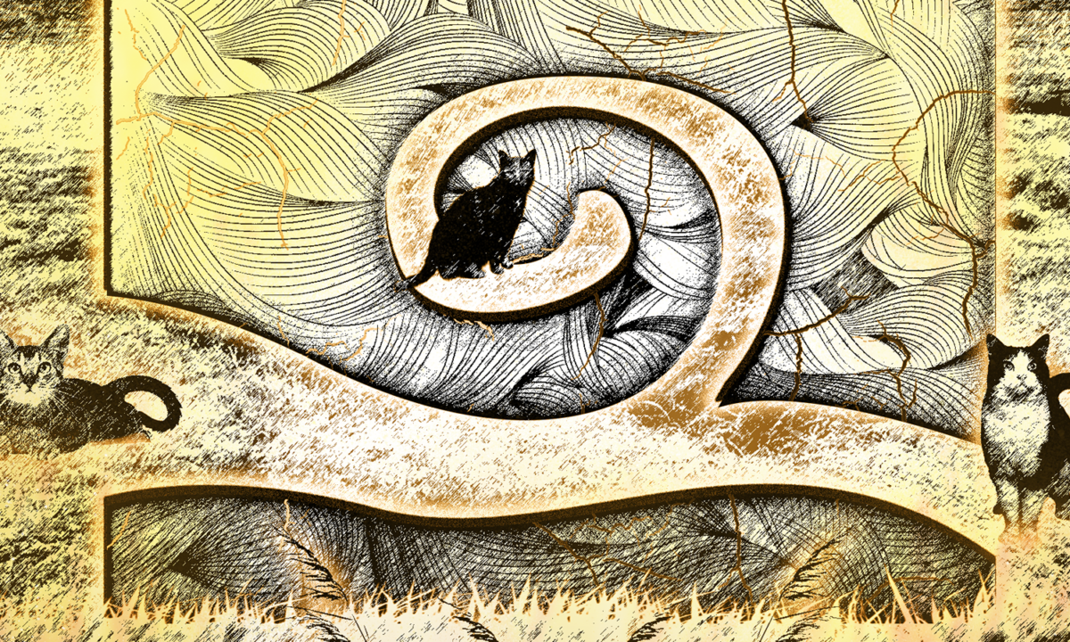 How well do you know ThunderClan?