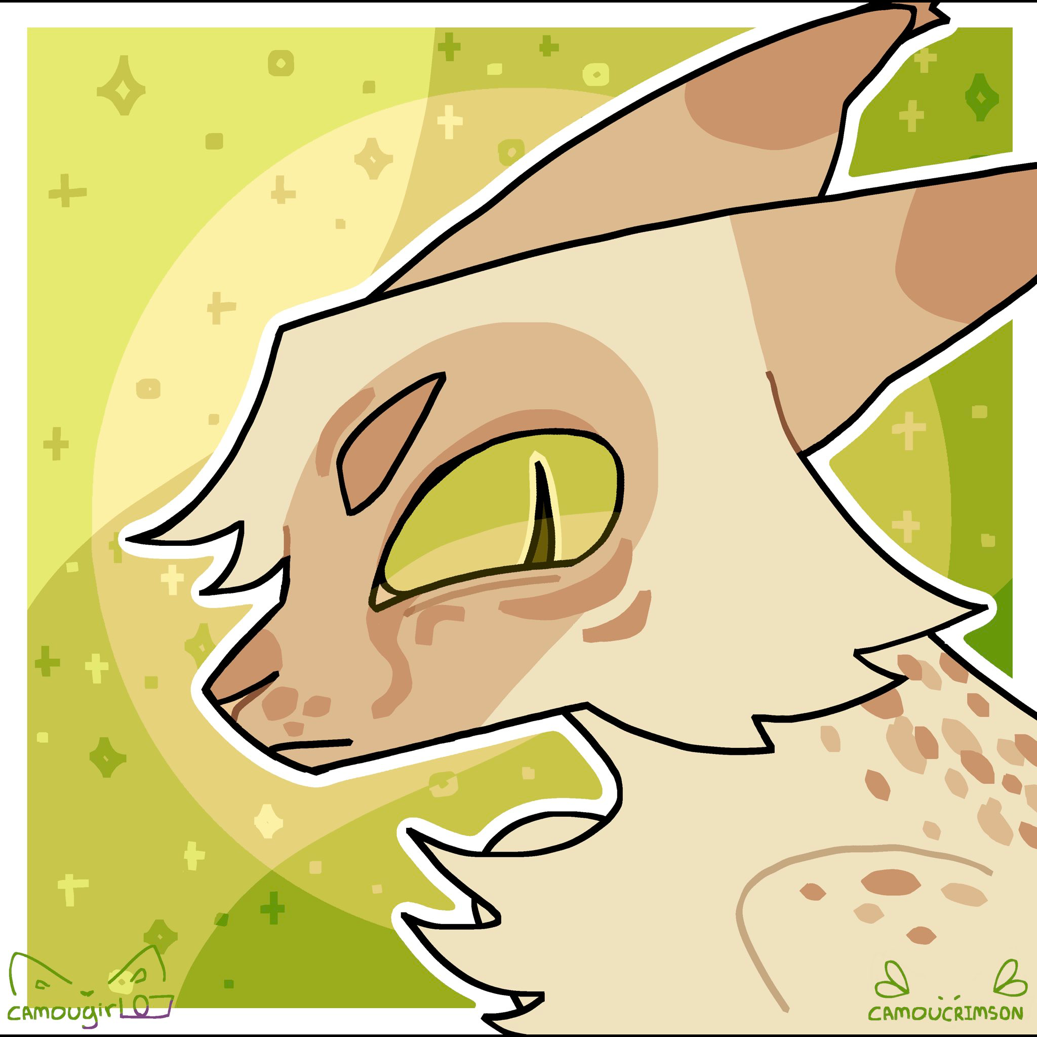 Frecklewish of SkyClan artwork