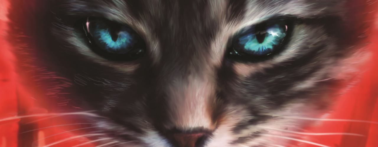 The Place of No Stars