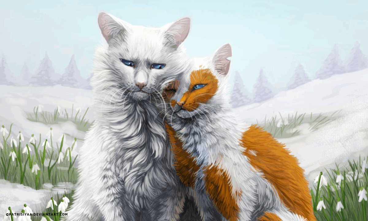 How much do you know about the Tribe of Rushing Water?